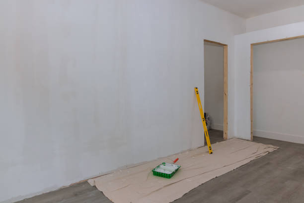 Best Drywall Removal and Disposal  in Black Rock, NM